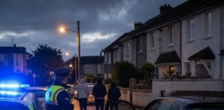 Garda a identificat peste 100 de persoane legate de „Lucky Dip” Mașină furată implicată în activități Lucky Dip