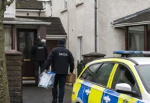 Captură de cannabis de 233.000 de euro în Galway. Doi bărbați, arestați în urma perchezițiilor