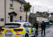 Zece minute de teroare în Cobh: despăgubirea uriașă primită de un polițist Garda după atac