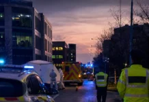 zona Leopardstown în sudul Dublinului