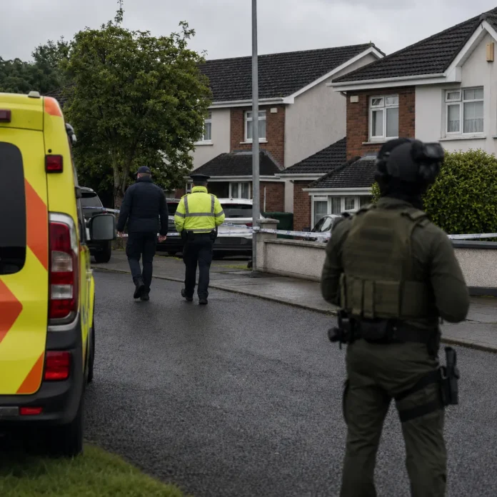 intervenție Garda în Ballyogan Dublin