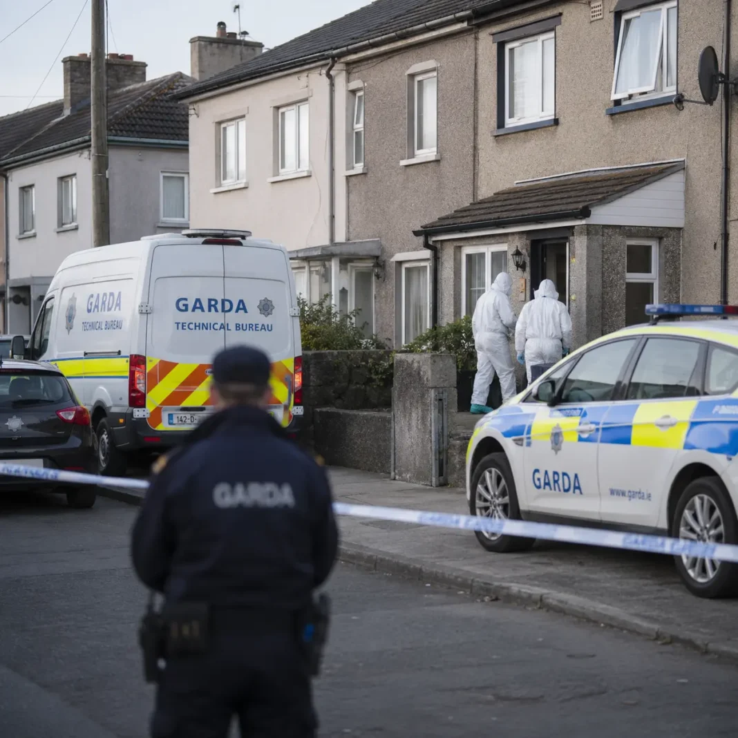Arme și dispozitive explozive improvizate, descoperite în Dundalk. O femeie a fost arestată într-o operațiune împotriva crimei organizate