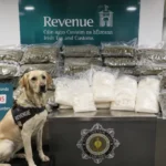 Captură uriașă pe Aeroportul Dublin: droguri de peste 950.000 € găsite în două valize