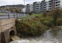 râu Butlerstown în zona Cork