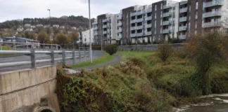 râu Butlerstown în zona Cork