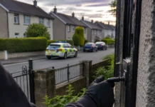 Explozie a spargerilor în Kerry: creștere de 142%. Zonele din Irlanda unde fenomenul este în scădere