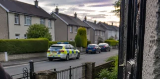 Explozie a spargerilor în Kerry: creștere de 142%. Zonele din Irlanda unde fenomenul este în scădere