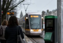 autobuz în trafic urban în Irlanda