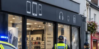 magazin telefoane în comitatul Wicklow