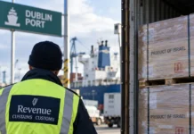 controale vamale la frontieră pentru importuri