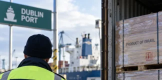 controale vamale la frontieră pentru importuri