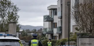 A patra arestare în cazul cetățeanului român ucis în Leopardstown Sediul Garda din Dublin