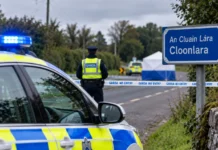 Mașină Skoda Octavia argintiu-auriu căutată de Garda