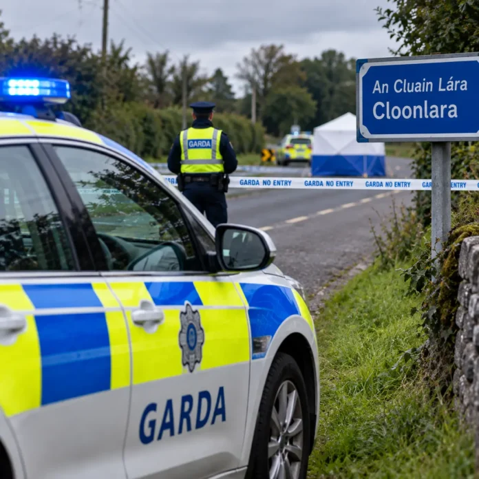 Mașină Skoda Octavia argintiu-auriu căutată de Garda