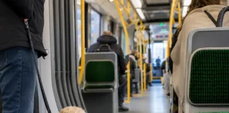 Câinii, pisicile și alte animale de companie ar putea fi acceptate în autobuze, trenuri și Luas în Irlanda câine și pisică în transport public irlandez