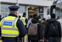 Date statistice privind cererile de azil în Irlanda